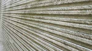 外壁に藻や苔が発生して黒ずんでいる劣化症状