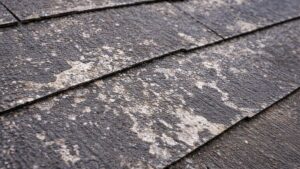屋根の劣化写真｜塗膜の剝がれ