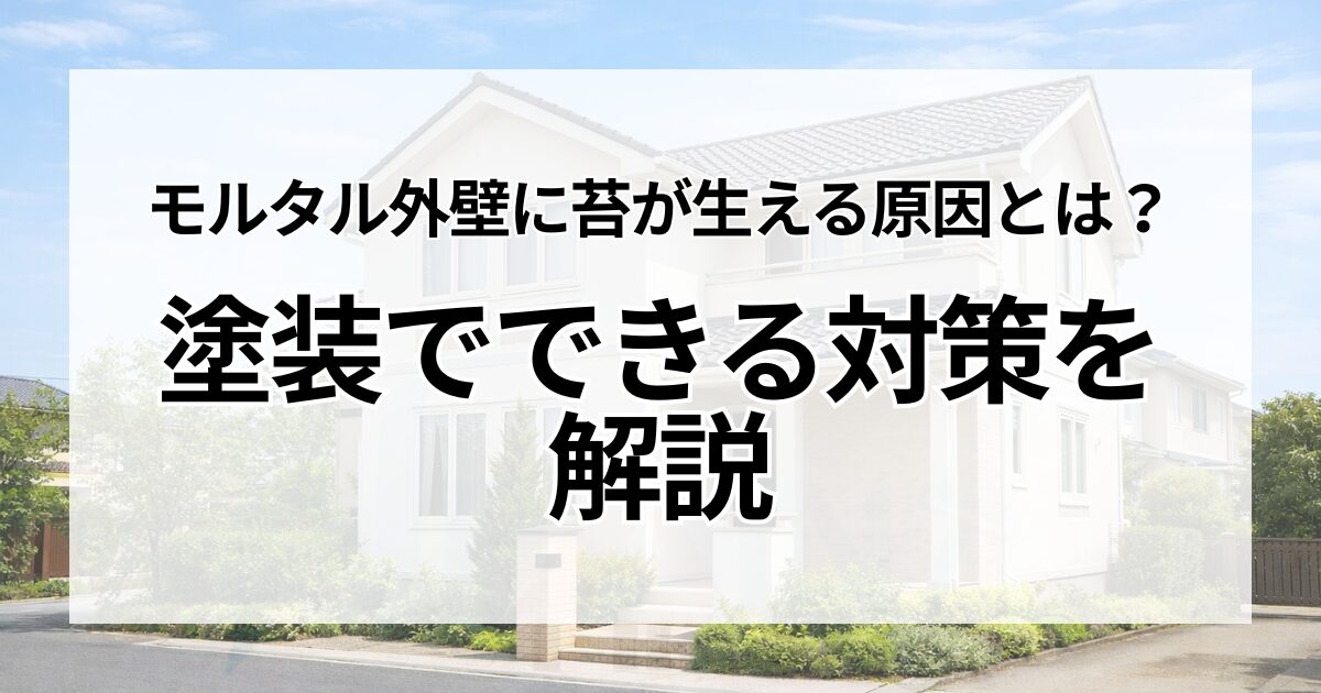 モルタル外壁に苔が生える原因とは？塗装でできる対策を解説